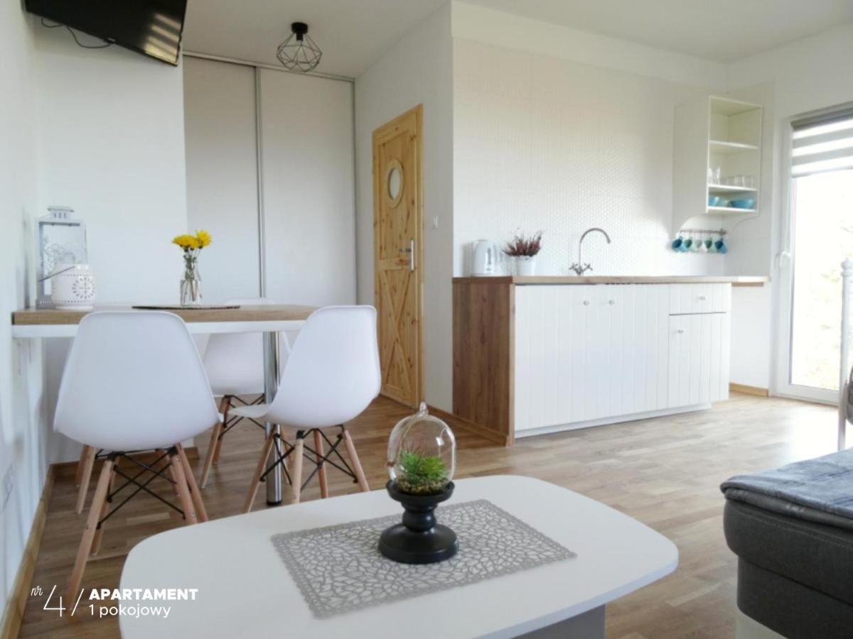 Apartament Karkonoska Przesieka Luaran gambar